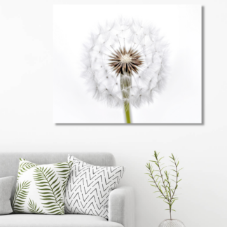 Obrazy na stěnu - Odkvetlá pampeliška Rozměr: 80x100 cm, Rámování: vypnuté plátno na rám