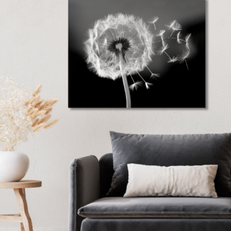Obrazy na stěnu - Odkvetlá pampeliška Rozměr: 80x100 cm, Rámování: vypnuté plátno na rám