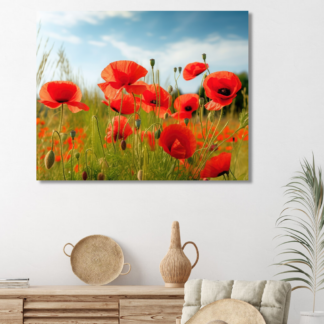 Obrazy na stěnu - Vlčí máky na louce Rozměr: 40x50 cm, Rámování: bez rámu a bez vypnutí plátna