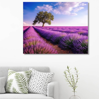 Obrazy na stěnu - Levandulová louka Rozměr: 80x100 cm, Rámování: bez rámu a bez vypnutí plátna