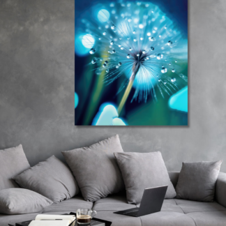 Obrazy na stěnu - Odkvetlá pampeliška v kapkách deště 2 Rozměr: 40x50 cm, Rámování: vypnuté plátno na rám