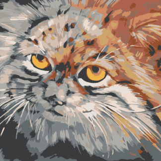 Malování podle čísel - ŠEDOHNĚDÁ KOČKA Rozměr: 40x50 cm, Rámování: bez rámu a bez vypnutí plátna