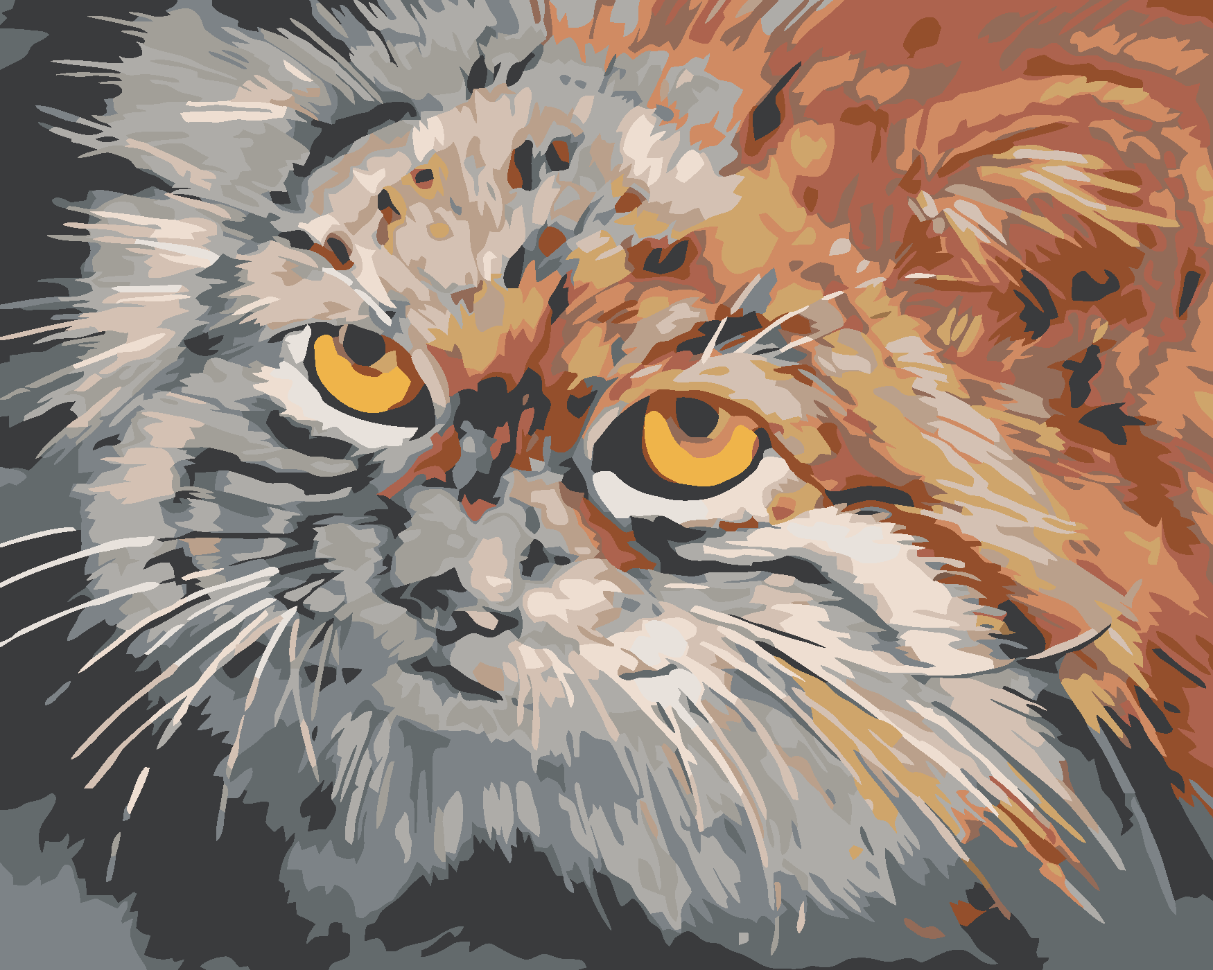 Malování podle čísel - ŠEDOHNĚDÁ KOČKA Rozměr: 40x50 cm, Rámování: bez rámu a bez vypnutí plátna