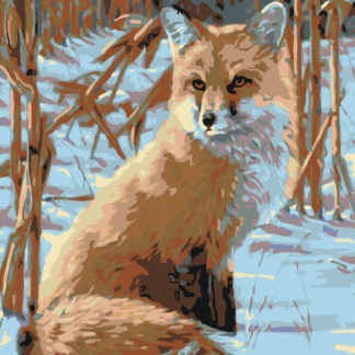 Malování podle čísel - VYHLÍŽEJÍCÍ LIŠKA Rozměr: 40x50 cm, Rámování: vypnuté plátno na rám