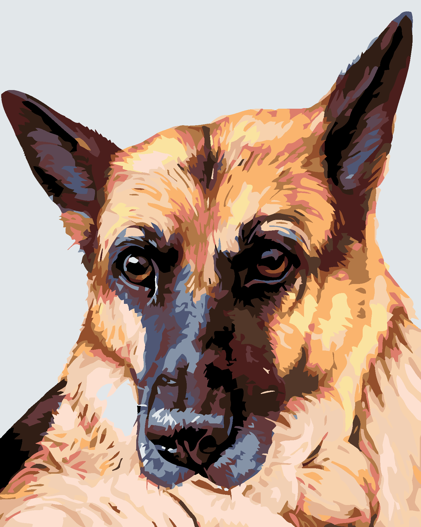 Malování podle čísel - VLČÁK Rozměr: 80x100 cm, Rámování: bez rámu a bez vypnutí plátna