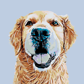 Malování podle čísel - ZLATÝ RETRÍVR Rozměr: 80x100 cm, Rámování: vypnuté plátno na rám
