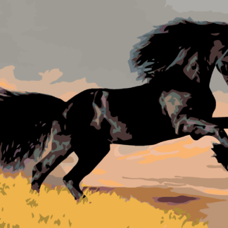 Malování podle čísel - ČERNÝ KŮŇ Rozměr: 40x50 cm, Rámování: bez rámu a bez vypnutí plátna
