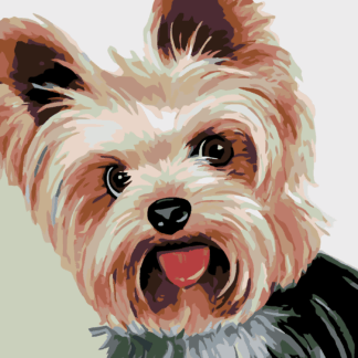 Malování podle čísel - JORKŠÍREK II Rozměr: 80x100 cm, Rámování: bez rámu a bez vypnutí plátna