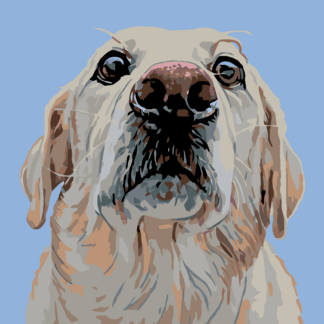 Malování podle čísel - LABRADOR Rozměr: 80x100 cm, Rámování: bez rámu a bez vypnutí plátna