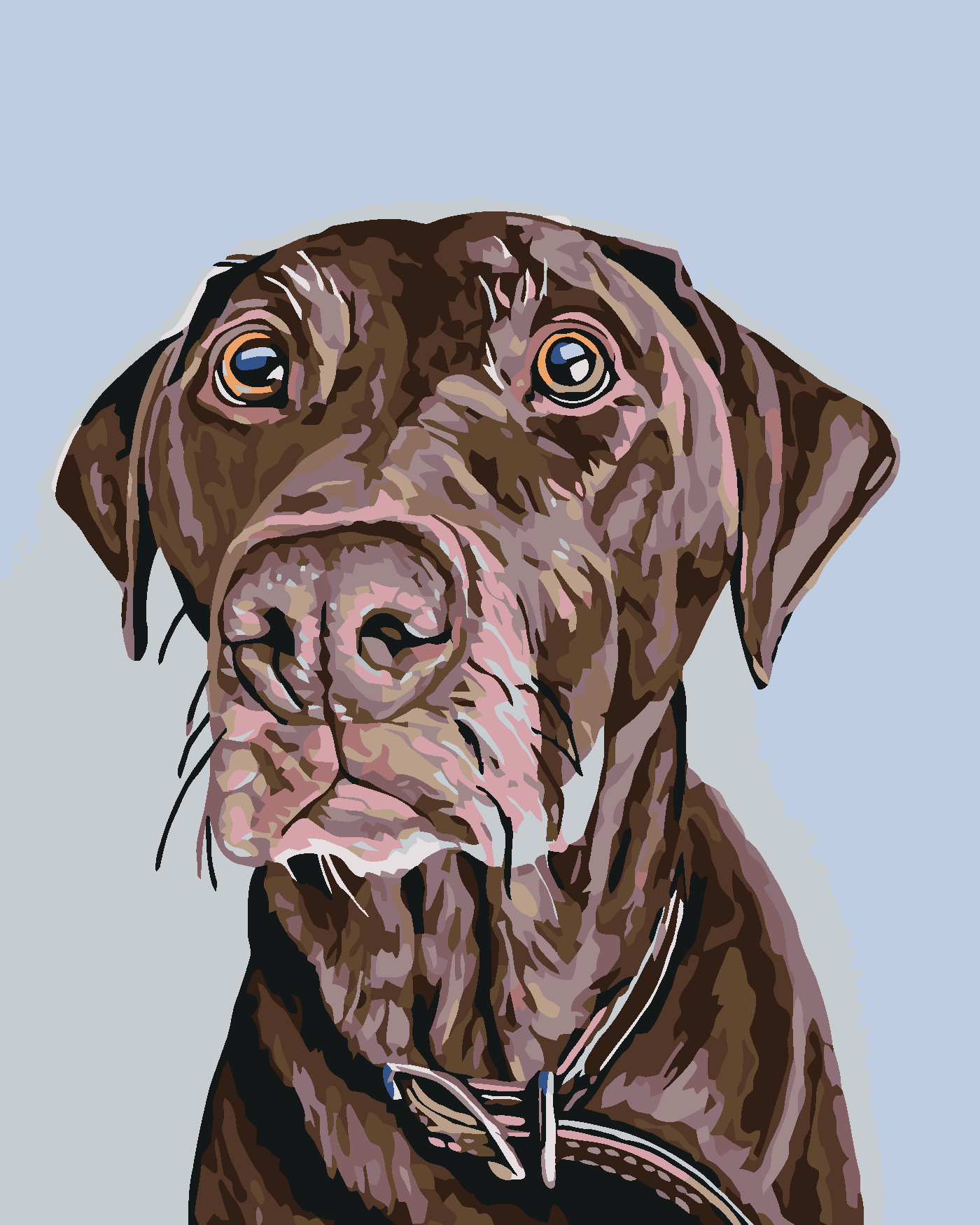 Malování podle čísel - HNĚDÝ PES S HNĚDÝM OBOJKEM Rozměr: 40x50 cm, Rámování: vypnuté plátno na rám