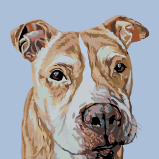 Malování podle čísel - HNĚDÝ STAFORD Rozměr: 80x100 cm, Rámování: vypnuté plátno na rám