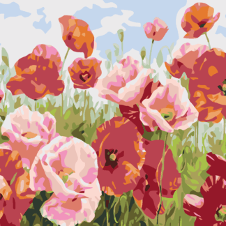Malování podle čísel - VLČÍ MÁKY V MNOHA ODSTÍNECH Rozměr: 40x50 cm, Rámování: vypnuté plátno na rám