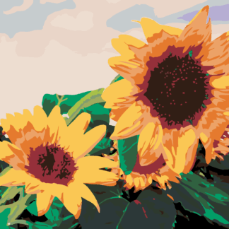 Malování podle čísel - SLUNEČNICE I. Rozměr: 40x50 cm, Rámování: vypnuté plátno na rám