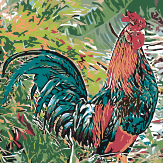 Malování podle čísel - KOHOUT V TRÁVĚ Rozměr: 40x50 cm, Rámování: bez rámu a bez vypnutí plátna