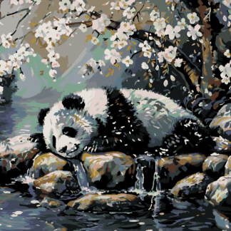 Malování podle čísel - SPÍCÍ PANDA A ROZKVETLÝ STROM Rozměr: 40x50 cm, Rámování: bez rámu a bez vypnutí plátna