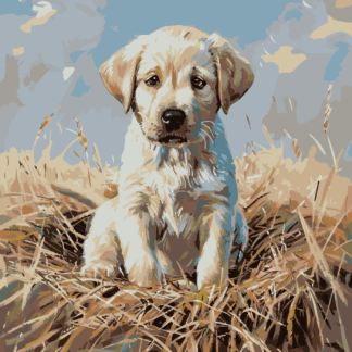 Malování podle čísel - ŠTĚNĚ LABRADORA Rozměr: 80x100 cm, Rámování: bez rámu a bez vypnutí plátna