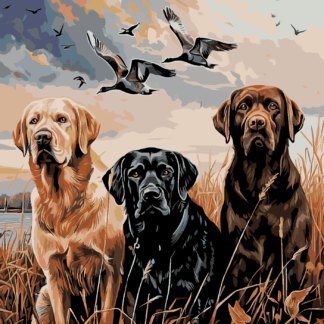 Malování podle čísel - ZLATÝ, HNĚDÝ A ČERNÝ LABRADOR V RAKOSÍ U RYBNÍKA Rozměr: 80x100 cm, Rámování: bez rámu a bez vypnutí plátna