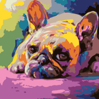 Malování podle čísel - LEŽÍCÍ BULDOČEK Rozměr: 40x50 cm, Rámování: vypnuté plátno na rám