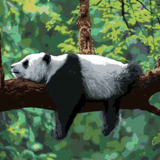 Malování podle čísel - PANDA LEŽÍCÍ NA STROMĚ Rozměr: 40x50 cm, Rámování: bez rámu a bez vypnutí plátna