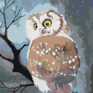 Malování podle čísel - ZIMNÍ SOVA Rozměr: 40x50 cm, Rámování: bez rámu a bez vypnutí plátna