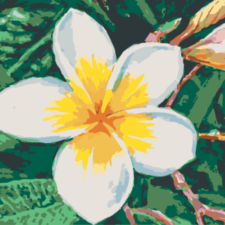 Malování podle čísel - HAVAJSKÁ KVĚTINA Rozměr: 40x50 cm, Rámování: vypnuté plátno na rám