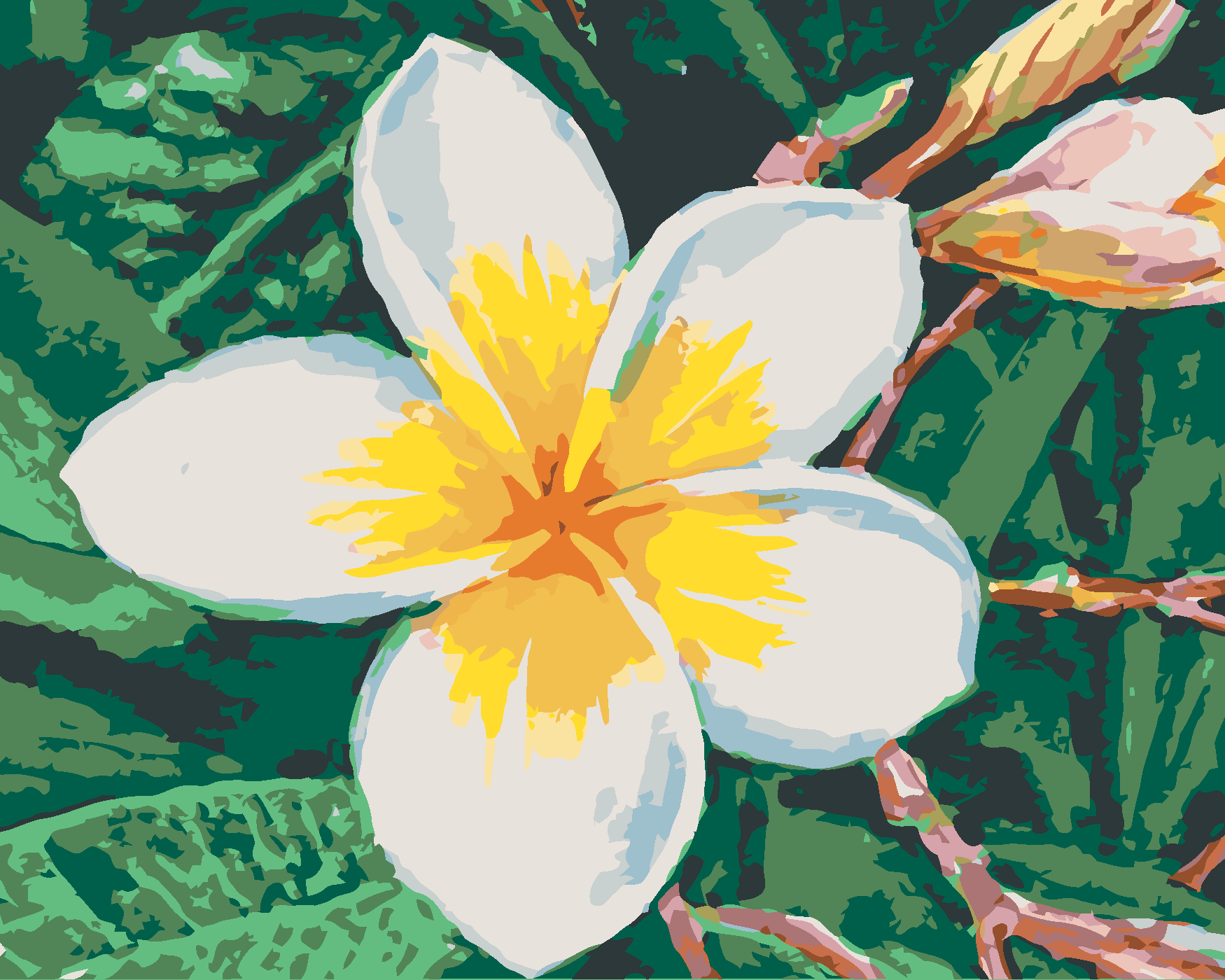 Malování podle čísel - HAVAJSKÁ KVĚTINA Rozměr: 40x50 cm, Rámování: vypnuté plátno na rám