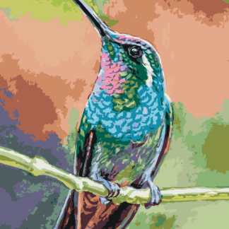 Malování podle čísel - KOLIBŘÍK NA VĚTVI Rozměr: 40x50 cm, Rámování: bez rámu a bez vypnutí plátna