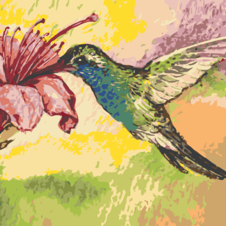 Malování podle čísel - KOLIBŘÍK A RŮŽOVÁ KVĚTINA Rozměr: 40x50 cm, Rámování: bez rámu a bez vypnutí plátna