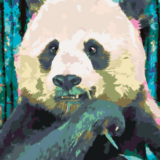Malování podle čísel - BAREVNÁ PANDA Rozměr: 40x50 cm, Rámování: vypnuté plátno na rám