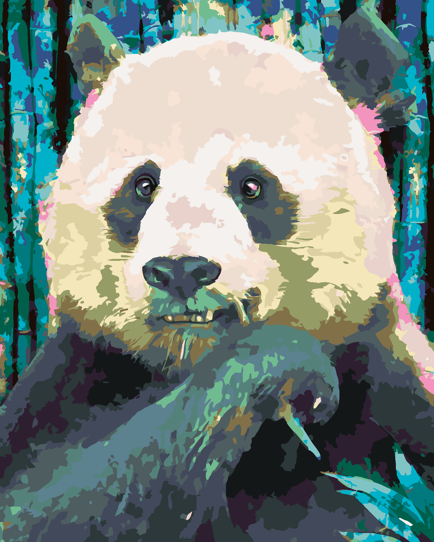 Malování podle čísel - BAREVNÁ PANDA Rozměr: 40x50 cm, Rámování: vypnuté plátno na rám