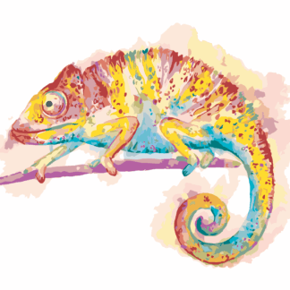 Malování podle čísel - BAREVNÝ CHAMELEON NA BÍLÉM POZADÍ Rozměr: 80x100 cm, Rámování: vypnuté plátno na rám