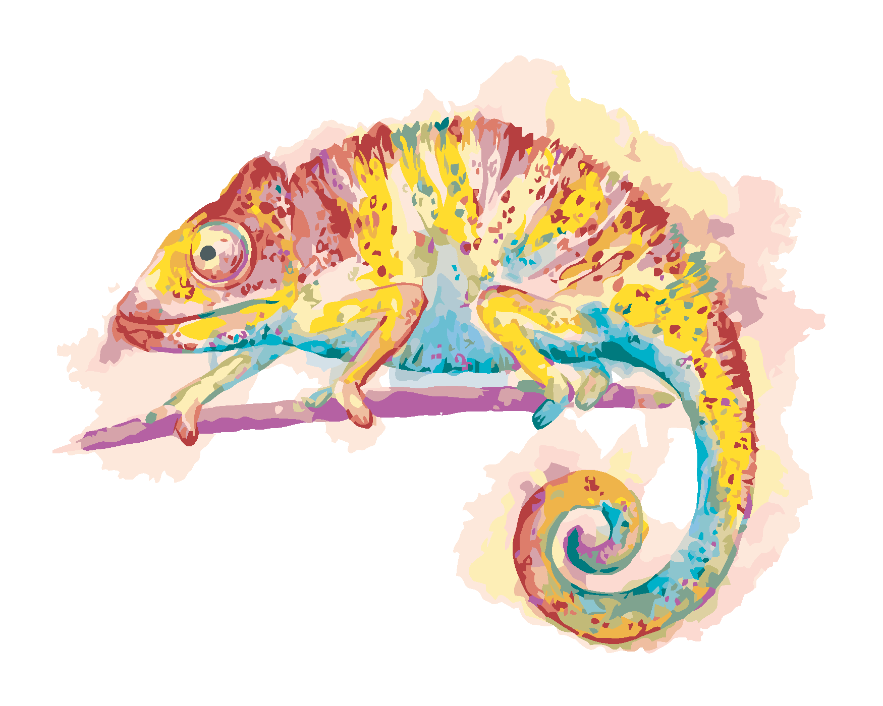 Malování podle čísel - BAREVNÝ CHAMELEON NA BÍLÉM POZADÍ Rozměr: 80x100 cm, Rámování: vypnuté plátno na rám