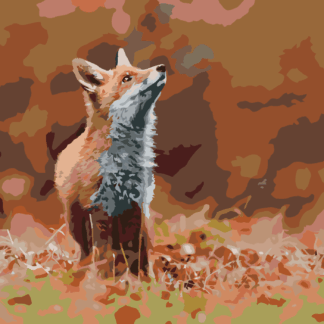 Malování podle čísel - LIŠKA V LESE Rozměr: 80x100 cm, Rámování: vypnuté plátno na rám