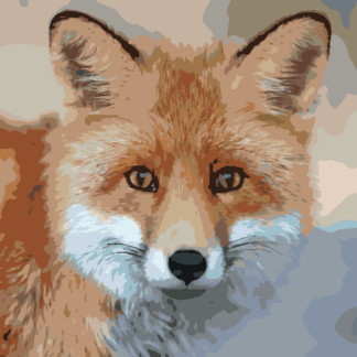 Malování podle čísel - MLADÁ LIŠKA Rozměr: 40x50 cm, Rámování: bez rámu a bez vypnutí plátna