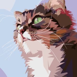 Malování podle čísel - ZVĚDAVÁ KOČKA PORTRÉT Rozměr: 40x50 cm, Rámování: vypnuté plátno na rám