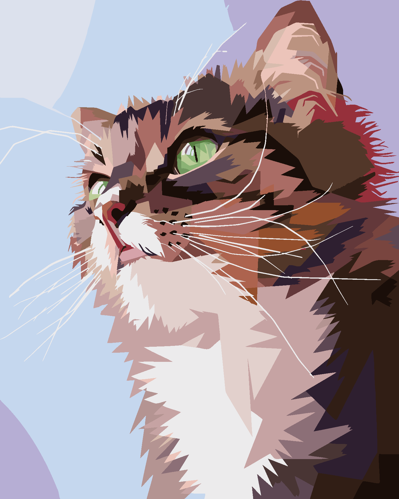 Malování podle čísel - ZVĚDAVÁ KOČKA PORTRÉT Rozměr: 40x50 cm, Rámování: vypnuté plátno na rám
