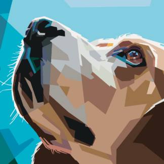 Malování podle čísel - PES BÍGL Rozměr: 40x50 cm, Rámování: bez rámu a bez vypnutí plátna