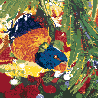 Malování podle čísel - PAPOUŠEK HLAVOU DOLŮ Rozměr: 40x50 cm, Rámování: vypnuté plátno na rám