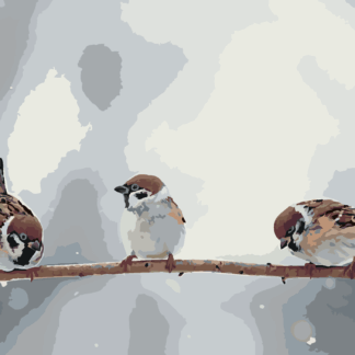 Malování podle čísel - MALÍ PTÁČCI NA VĚTVI Rozměr: 40x50 cm, Rámování: vypnuté plátno na rám