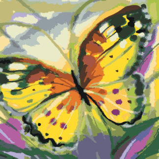 Malování podle čísel - MOTÝL ŽLUŤÁSEK Rozměr: 40x50 cm, Rámování: vypnuté plátno na rám