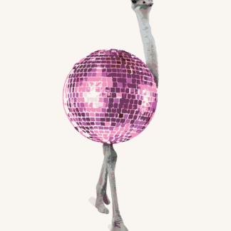 Malování podle čísel - PŠTROS JAKO DISCO KOULE Rozměr: 40x50 cm, Rámování: vypnuté plátno na rám