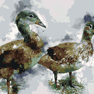 Malování podle čísel - MLADÉ KACHNY Rozměr: 40x50 cm, Rámování: bez rámu a bez vypnutí plátna