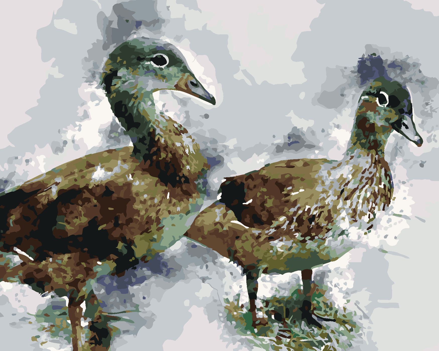 Malování podle čísel - MLADÉ KACHNY Rozměr: 40x50 cm, Rámování: vypnuté plátno na rám