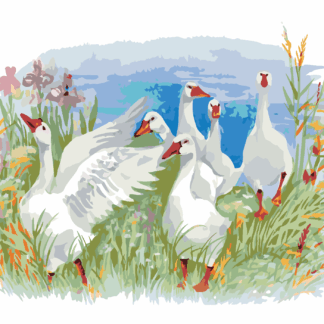 Malování podle čísel - HUSY NA FARMĚ Rozměr: 40x50 cm, Rámování: bez rámu a bez vypnutí plátna