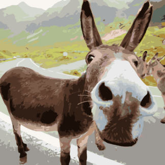 Malování podle čísel - OSEL NA SILNICI Rozměr: 80x100 cm, Rámování: vypnuté plátno na rám