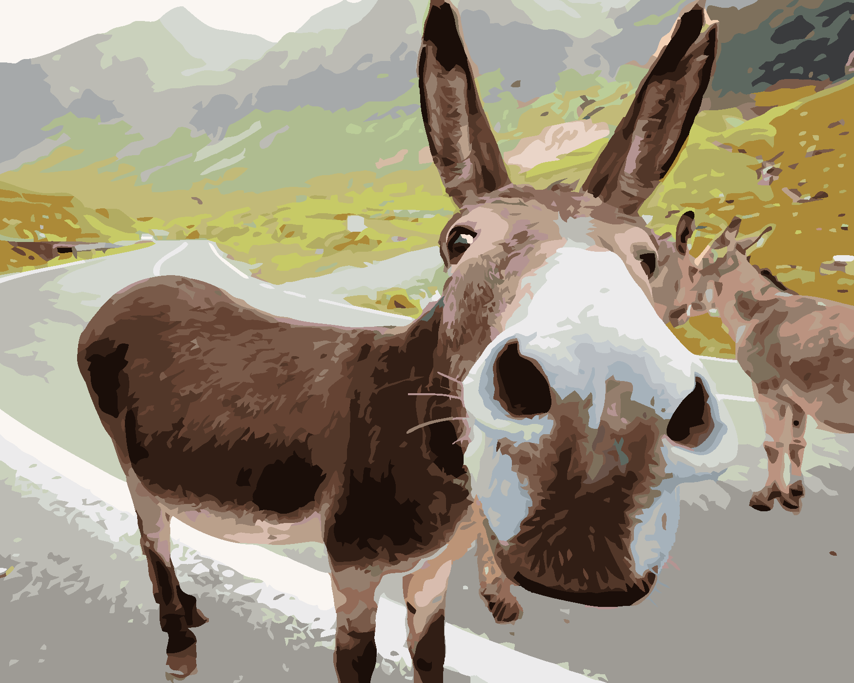 Malování podle čísel - OSEL NA SILNICI Rozměr: 40x50 cm, Rámování: bez rámu a bez vypnutí plátna