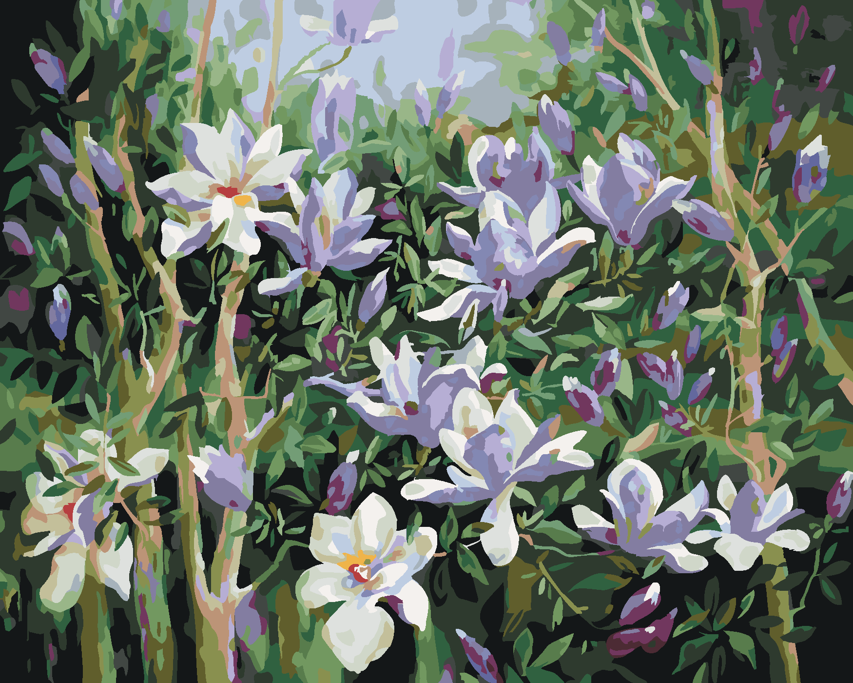 Malování podle čísel - JARNÍ MAGNÓLIE Rozměr: 80x100 cm, Rámování: bez rámu a bez vypnutí plátna