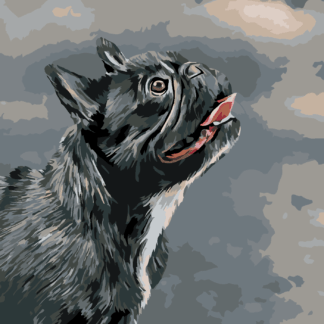 Malování podle čísel - VZHLÍŽEJÍCÍ FRANCOUZSKÝ BULDOČEK Rozměr: 40x50 cm, Rámování: vypnuté plátno na rám