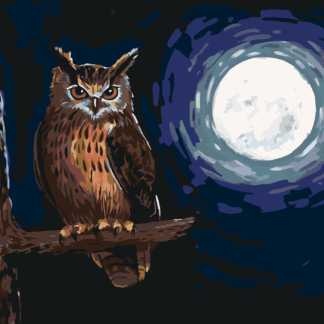 Malování podle čísel - SOVA A SVIT MĚSÍCEv Rozměr: 40x50 cm, Rámování: vypnuté plátno na rám