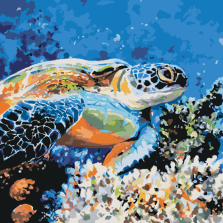 Malování podle čísel - MOŘSKÁ ŽELVA Rozměr: 40x50 cm, Rámování: bez rámu a bez vypnutí plátna